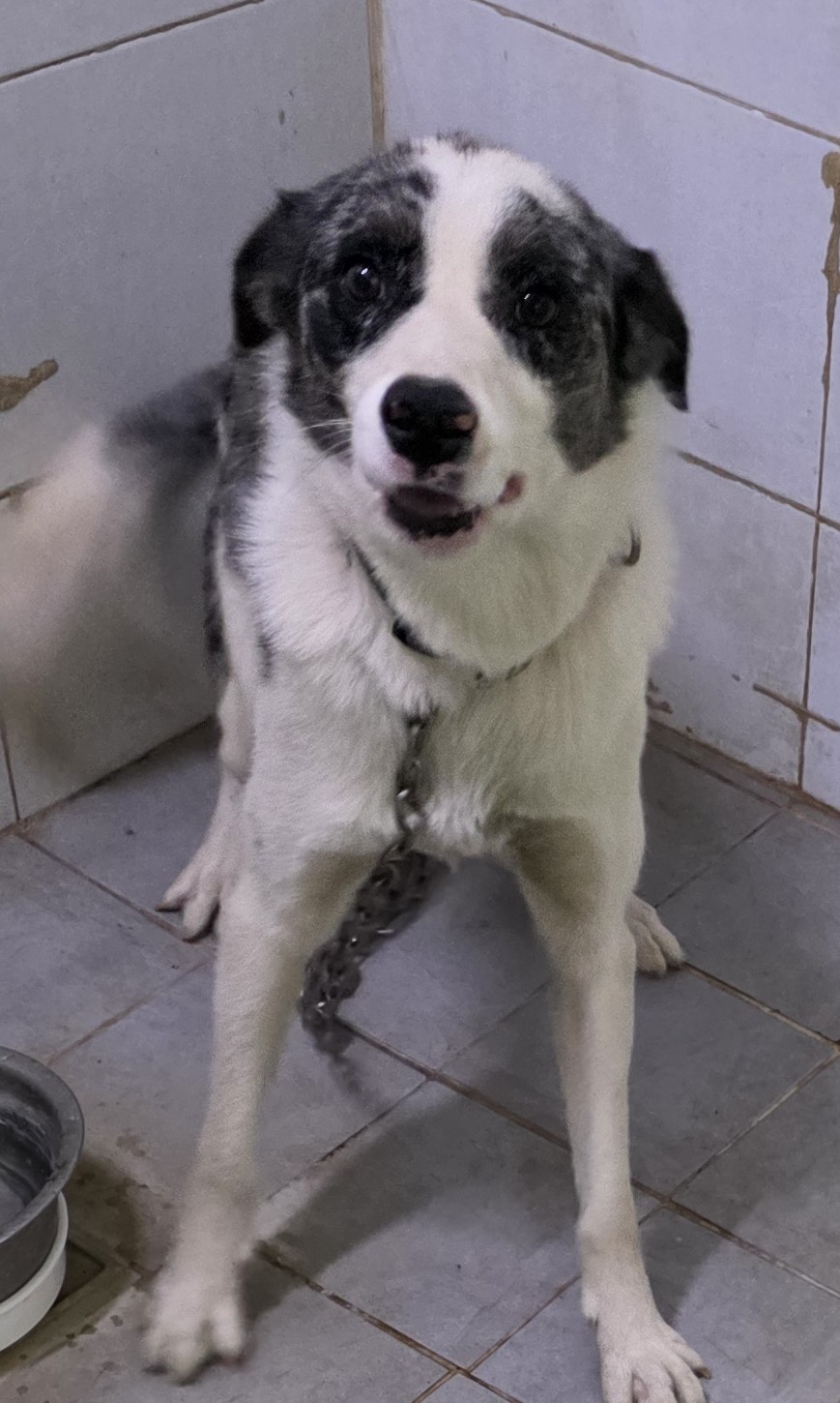 종료(반환) 보더 …